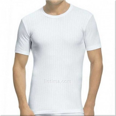 T-shirt manches courtes répertorié comme un porte-étendard