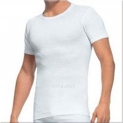 T-shirt manches courtes col rond DRAPEAU